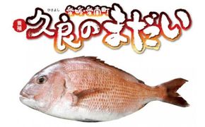 久良 の まだい 2尾 合計 3kg 以上 15000円 真鯛 たい タイ 2匹 刺身 刺し身 養殖 取り寄せ お取り寄せ 鮮魚 冷蔵 鍋 お造り 魚 海鮮 鮮魚 海鮮鍋 鯛 マダイ 年末年始 お祝い 父の日 母の日 敬老の日 誕生日 米寿 紅白 お正月 めでたい 久良漁業協同組合 愛南町 愛媛県