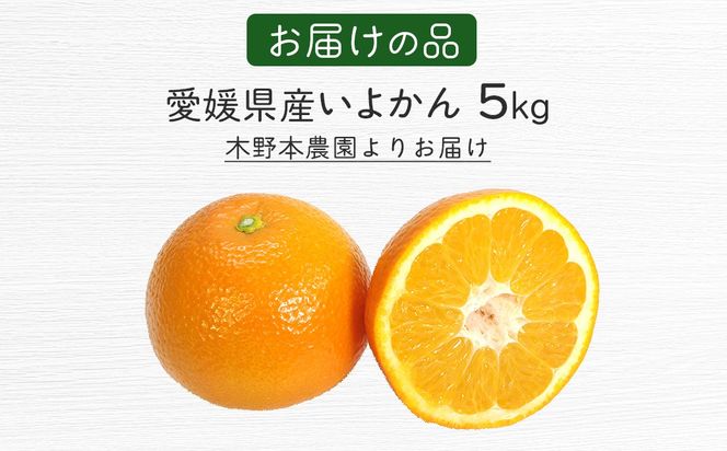 【栽培期間中農薬不使用】【先行受付】【数量限定】農園直送！愛媛県産 いよかん 5kg （2026年1月上旬頃より順次発送） IKTG015