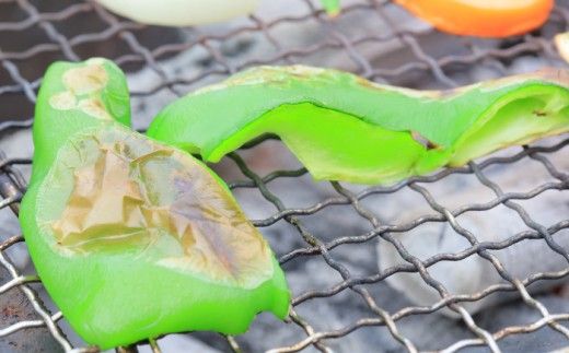 【全6回定期便】高知県産 植田ファームのこだわりピーマン 1kg〈2026年10月1日～2027年6月下旬〉 ピーマン 甘い 新鮮野菜 サラダ 野菜 おかず 詰め合わせ 絶品 お取り寄せ 美味しい 料理 おうちごはん 新鮮 高知県 土佐市【株式会社植田ファーム】[BQAT025]