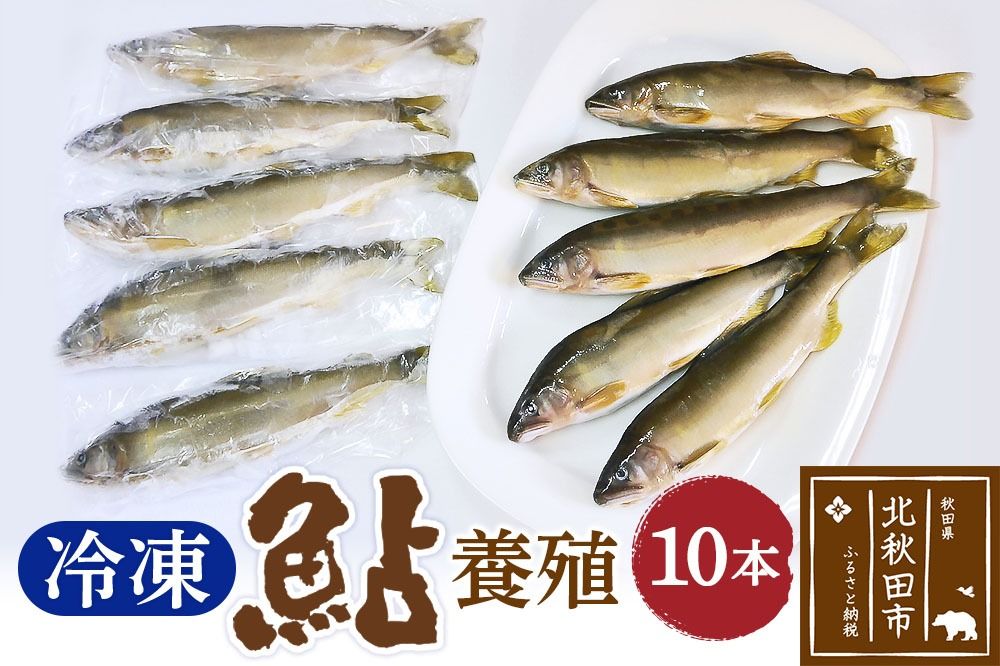 冷凍 鮎 10本 個包装[あゆ 小分け 魚 焼き魚 焼魚 川魚 バーベキューに]|arac-00009