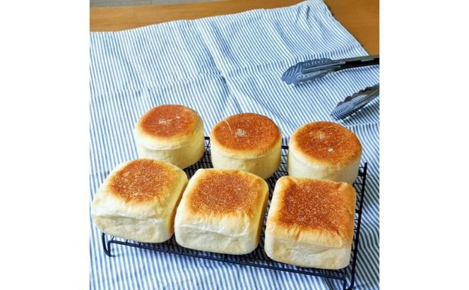 はちみつ酵母のパン　ハニーフロマージュ　12個セット　パン ぱん 朝食 おやつ お菓子 ご褒美 チーズ はちみつ酵母