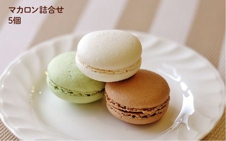 【全3回定期便】【 つまんでご 卵 】糸島 ロールケーキ & マカロン 5個 詰め合わせ セット糸島市 / 緑の農園卵 たまご 菓子 焼き菓子 ケーキ [AGA024] ロールケーキ マカロン 洋菓子 八女茶 あまおう ココア