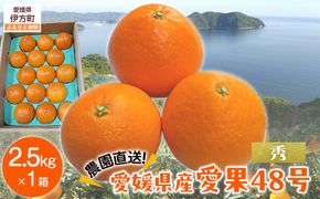 【先行予約】【数量限定】【秀】＼農園直送／愛果48号 約2.5kg ※離島への配送不可（2026年2月下旬より順次発送）  IKTV011