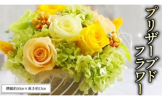 プリザーブドフラワーS プリザーブドフラワー インテリア [CT032ci]