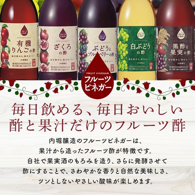 酢 フルーツビネガー（酢）飲み比べセット 360ml×2本 有機りんごの酢・ぶどうとブルーベリーの酢 240