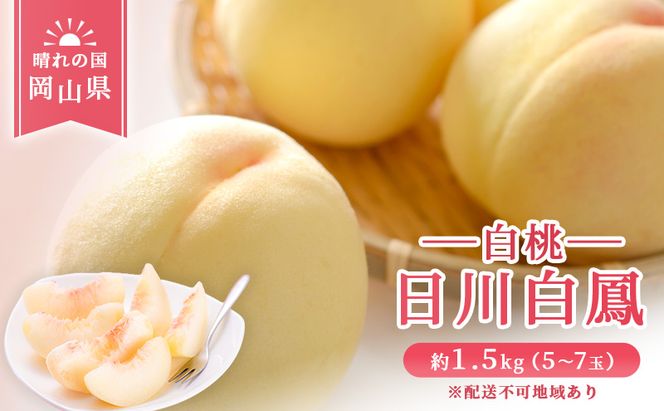 【 2026年 先行予約】 桃 岡山県産 日川 白鳳 （白桃） 約1.5kg（5～7玉） 《2026年6月下旬-7月上旬頃出荷》  白桃 岡山 スイーツ フルーツ 果物 先行予約 数量限定 期間限定 岡山 里庄町 