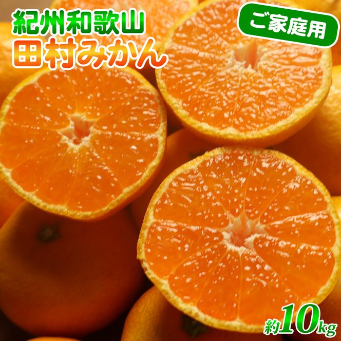 G7053_【2026年11月下旬より発送】高級ブランド 田村みかん 10kg【家庭用 訳あり】