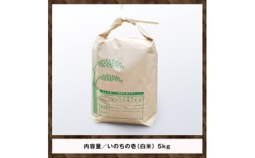 【令和6年産】黒木農園のお米「いのちの壱(白米)」5kg 【 米 お米 白米 国産 宮崎県産 いのちの壱 おにぎり 】☆[D03220]