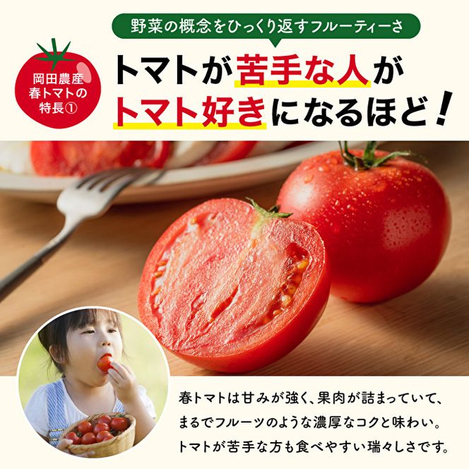 トマト 8kg トマトの一番星 野菜 とまと 完熟 高糖度 甘い 受賞 冷蔵配送