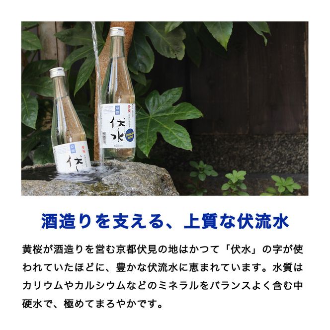 【黄桜】伏水スパークリング (500ml×12本入) ［ 京都 キザクラ 炭酸水 天然水 名水 ソーダ割 ハイボール 酎ハイ 人気 おすすめ お取り寄せ 通販 送料無料 ふるさと納税 ］ 261009_B-DN91