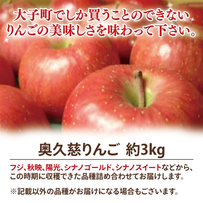 先行予約 奥久慈 りんご 3kg 8～15玉 樹上完熟 茨城県 大子町 フルーツ 果物 国産 詰め合わせ ふじ 秋映 陽光 シナノゴールド シナノスイート 秋 旬 お取り寄せ 数量限定 【2026年9月中旬頃順次発送開始予定】(AI003-1)