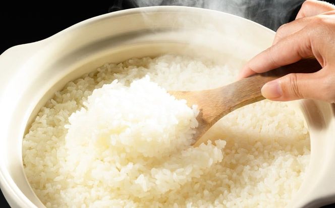【令和7年産】茨城県産コシヒカリ 5kg 米 お米 おこめ コメ 白米 精米 ご飯 ごはん コシヒカリ こしひかり 茨城県 守谷市