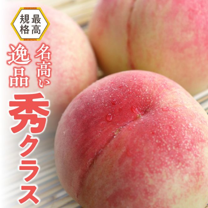 【数量限定】 しのおかの大きな桃(白鳳・秀クラス）[017O01]