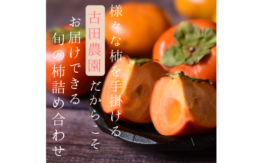 旬の 柿 詰め合わせ 2kg 特秀 / 詰め合わせ かき 2kg 甘い 太秋柿 紀ノ川柿 富有柿 早秋柿 珍しい 希少 和歌山産 ※2026年10月上旬～11月下旬に順次発送【frt504-p-tume-2】