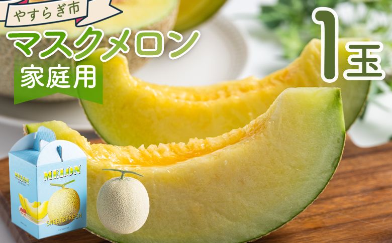 メロン [令和8年3月発送開始]マスクメロン 1玉 家庭用 yr-0088