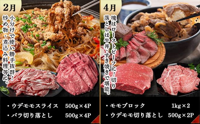 宮崎牛定期便(6回お届け) Eコース_N25-005-T6 宮崎牛 ウデ モモ バラ カルビ リブロース 肩ロース サーロイン スライス 切り落とし ブロック 焼肉 ステーキ