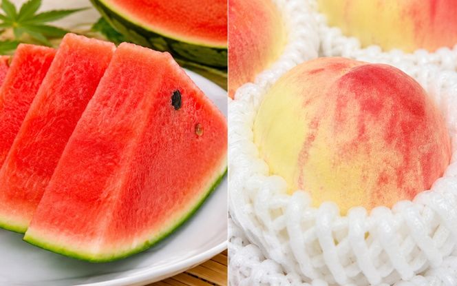 【旬のくだもの定期便】和歌山県の旬のフルーツをお届け！　全6回【Ｓ】（配送日時指定不可）※北海道・沖縄・離島への配送不可 / 定期便 フルーツ みかん いちご イチゴ 清見オレンジ すいか 桃 柿 6回 【ard-tkb900A】