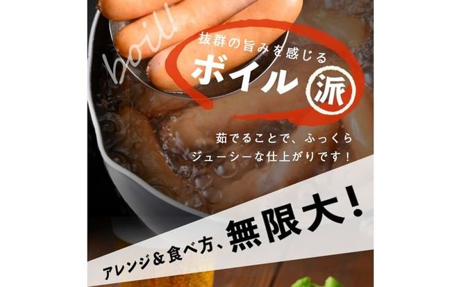 【定期便全3回】2ヶ月に1回お届け！訳あり・業務用！恵みウインナー計6kg t0033-007