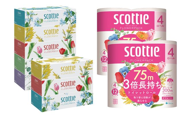【定期便6回】【毎月お届け】【スコッティ】ティシュー フラワーボックス 250組（5箱パック×1セット・3箱パック×1セット）＋フラワーパック 3倍長持ち（4ロール(ダブル)パックx2セット）