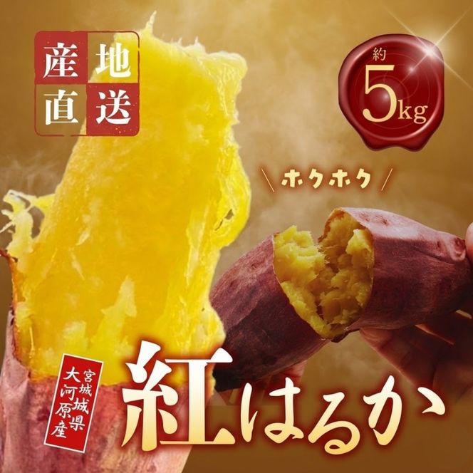 さつまいも 約5kg 紅はるか サツマイモ 宮城県産 甘い 秋 冬 スイーツ いも 産地直送 宮城県 大河原町