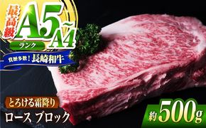 ロース ブロック肉 長崎和牛 500g / A4 A5 ぶろっく肉 赤身 国産 和牛 牛肉 / 南島原市 / 肉のくまもと屋株式会社[SHD055]