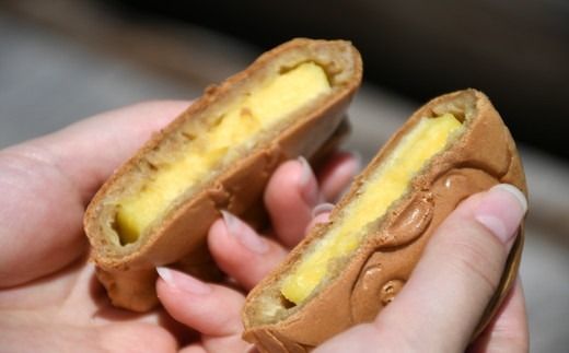 【1.1-23】たいやき（松阪香肌屋特製ちゃちゃも焼き）10個