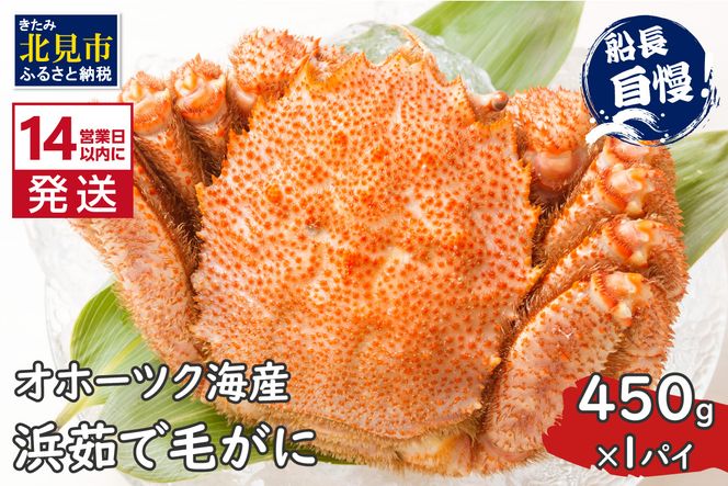 ykCkszs14cƓȓɔtIz[cNCY l䥂Ŗт 450g×1pC Ⓚ (  Jj уKj  I )y114-0019-2025z