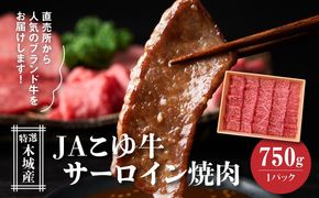 JAこゆ牛 特選木城産 サーロイン 750g 焼肉用 K56_0002