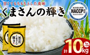 《令和7年産》くまさんの輝き 5kg×2袋 合計10kg  熊本県 八代市産 米 お米 精米 白米 国産