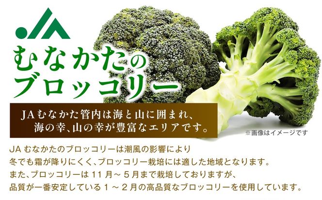 JAむなかたブロッコリー部会より!冷凍ブロッコリー3kg(1kg×3袋)【ほたるの里】_HA0623