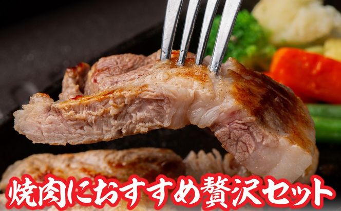 黒豚のロースステーキ肉とソーセージの焼肉用セット 選べる配送回数 1回 / 2回 / 3回 / 4回 / 6回 / 10回 / 12回 SKN080-v