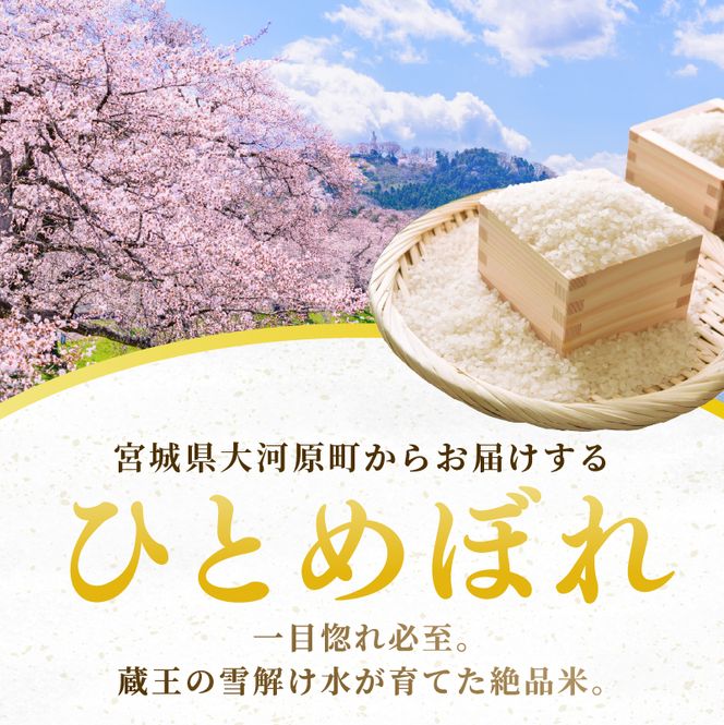 ひとめぼれ 定期便3回/5kg×1袋 令和8年産 新米 先行予約 宮城県産 米 精米 白米