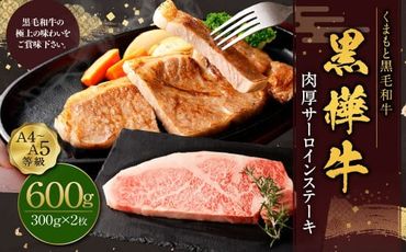 黒樺牛 肉厚サーロインステーキ 約600g （約300g×2パック） お肉 肉 牛肉 ブランド黒毛和牛 和牛 黒毛和牛 ブランド牛 サーロイン ステーキ ロースステーキ 冷凍 国産 九州産 冷凍