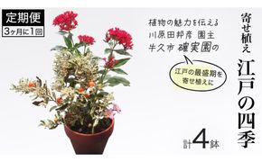 寄せ植え 江戸の四季 【 3ヶ月に1回お届け (全4回お届け) 】	 植物 季節 旬 ガーデニング インテリア 定期便