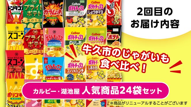 【 スナック菓子 3ヶ月 定期便 】 カルビー 湖池屋 人気 48袋 詰め合わせ バラエティ セット スナック ポテトチップス ポテチ ポテトチップ 菓子 お菓子 おかし おやつ おつまみ 大量 BIGBAG 堅あげポテト のりしお うすしお ブラックペッパー 頒布会 ジャガイモ じゃがいも まとめ買い [DA018us]