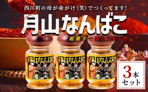 FYN9-733 山形県 西川町産 唐辛子使用！ 月山なんばこ 超激辛 3本セット 調味料 食品 香辛料 スパイス 唐辛子 とうがらし 辛い 手作り 命がけ 山形県 西川町 月山