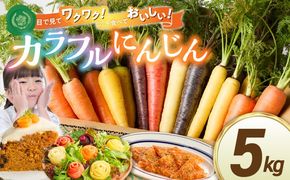 〈予約受付〉メディア出演多数！【期間限定】 冬の寒さでぎゅっと濃い！虹色のカラフルにんじん5kg H022-012