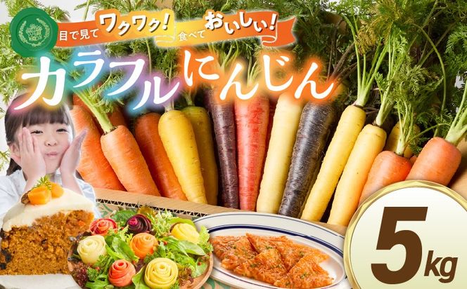 〈予約受付〉メディア出演多数！【期間限定】 冬の寒さでぎゅっと濃い！虹色のカラフルにんじん5kg H022-012