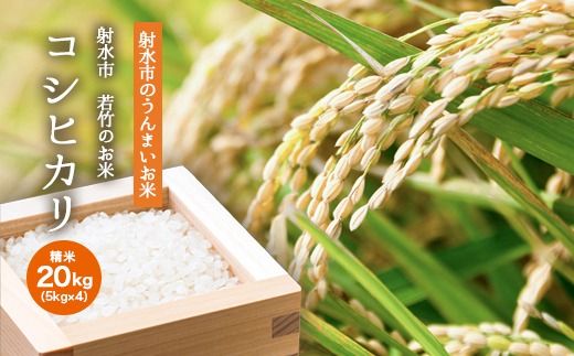 【射水市】【射水の美味しいお米】若竹のお米 R7年度産 コシヒカリ20kg（5kg×4）【精米】 ※離島への配送不可