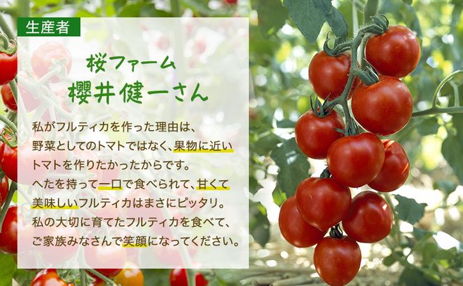 トマト 桜ファーム の 中玉トマト フルティカ 1.5kg とまと おいしい 箱入り ボックス 安心安全 農家直送 樹上完熟 ジュース ピューレ ソース ペースト 野菜