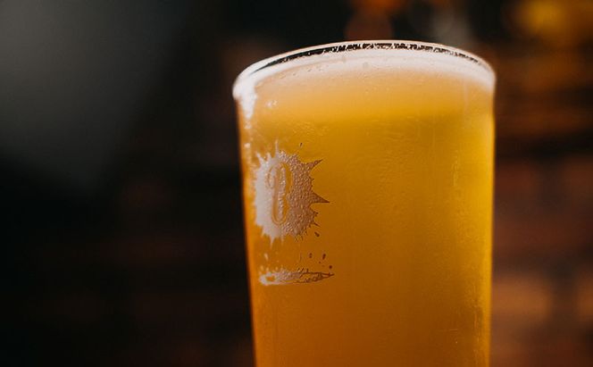 Barbaric WORKS バーバリックワークス おすすめ缶ビール12本セット 湘南 茅ヶ崎 クラフトビール ビール 缶 缶ビール 地ビール 飲み比べ セット 詰め合わせ ギフト