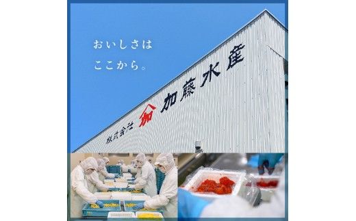 味付数の子【至高】500g　高級　魚卵　人気　おせち　魚介類   ごはんのお供 惣菜 おかず 珍味 海鮮 海産物 魚介 魚介類 おつまみ つまみ  味付け 味付 かずのこ カズノコ 味付数の子 冷凍 おせち R002-018
