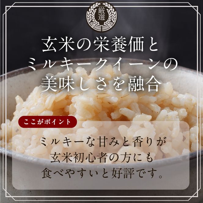 【最短翌日発送】 パックご飯 ミルキークイーン 玄米 甘み豊か もちぷち 160g×18食｜パックご飯 スピード 茨城県 行方市(HE-3)