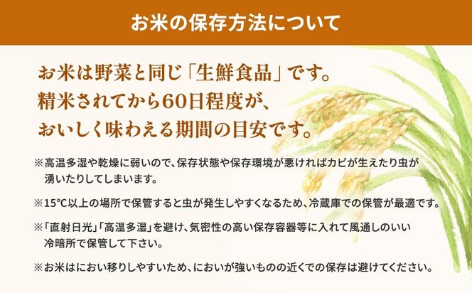 K2464B【令和6年産】※ランダム※ <2025年05月内発送> お米 5kg K2464B【令和6年産】※ランダム※ <2025年05月内発送> お米 5kg