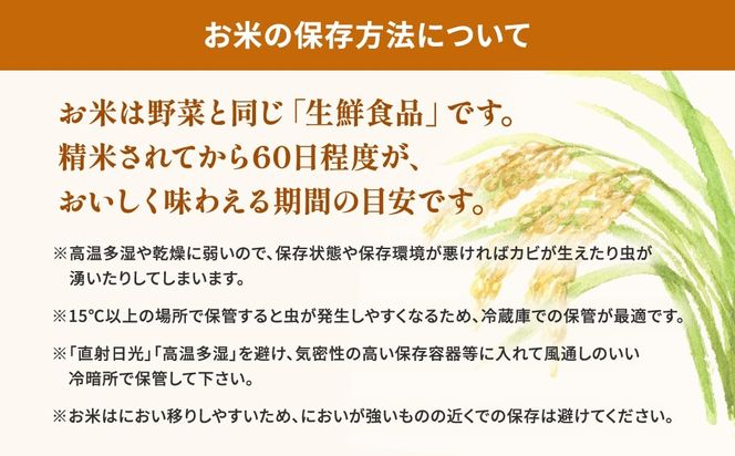 K2464【令和6年産】※ランダム※ ＜2025年01月内発送＞  お米 5kg  茨城県産 白米