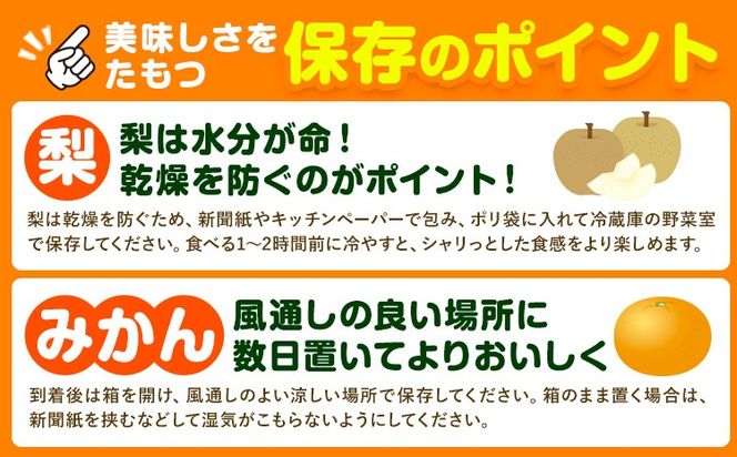 フルーツ 定期便 旬の梨 3kg 西南のひかり 5kg 2回定期便 さかもと果樹園《梨：8月中旬-10月上旬頃出荷 みかん：12月中旬-12月末頃出荷》熊本県 玉東町 梨 みかん 柑橘 果物 旬 秋 冬 先行予約 産地直送 デザート 秋冬 詰め合わせ---gkt_skm_7_8kg_2kh---