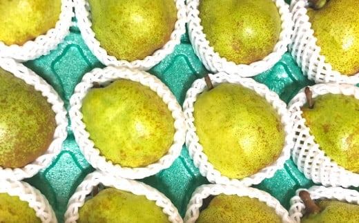 yRxm쒬zy2026N s\z EtX  10-12 (3.5kgȏ) 2026N10{ȍ~\@miV m t[c ʕ xm쒬