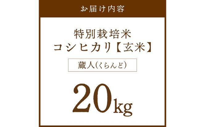 令和8年産 特別栽培米コシヒカリ 蔵人（くらんど） 玄米20kg 特別栽培米 コシヒカリ 蔵人 おこめ 京都産 ふるさと納税 玄米 ふるさと納税 コシヒカリ こしひかり　GF00026