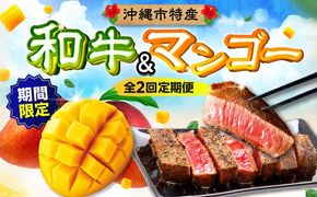 【期間限定】 【全2回】 沖縄市特産 和牛ステーキ&マンゴー アップルマンゴー 沖縄 牛肉 希少部位 ステーキ 沖縄市 / 仲村農園 / 肉のサブロー[BCZZ049]