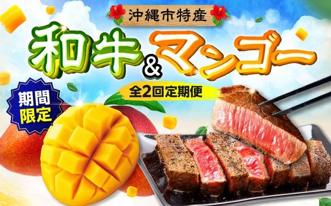 【期間限定】 【全2回】 沖縄市特産 和牛ステーキ&マンゴー アップルマンゴー 沖縄 牛肉 希少部位 ステーキ 沖縄市 / 仲村農園 / 肉のサブロー[BCZZ049]